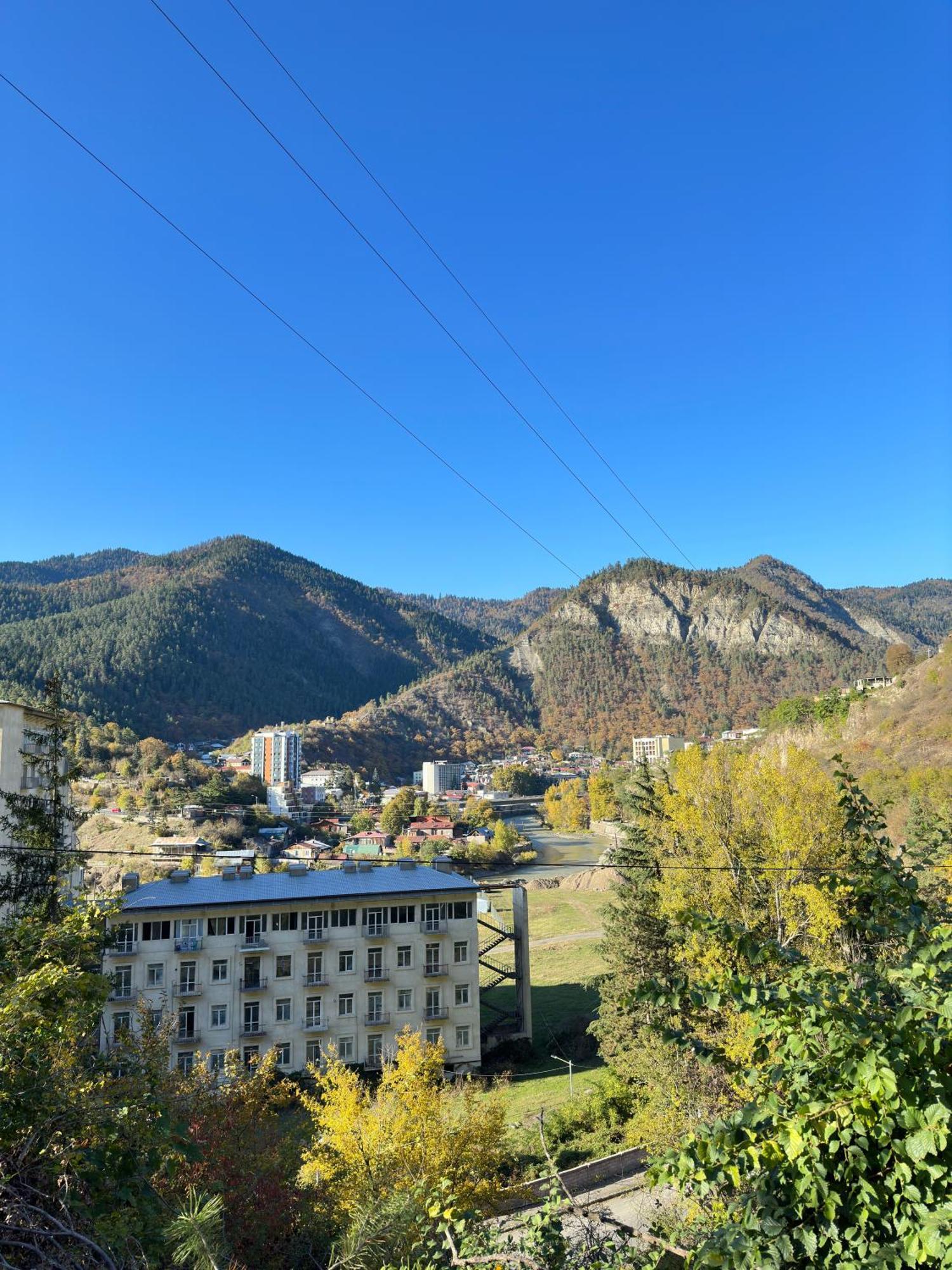 Woodland Borjomi Hotel Bagian luar foto