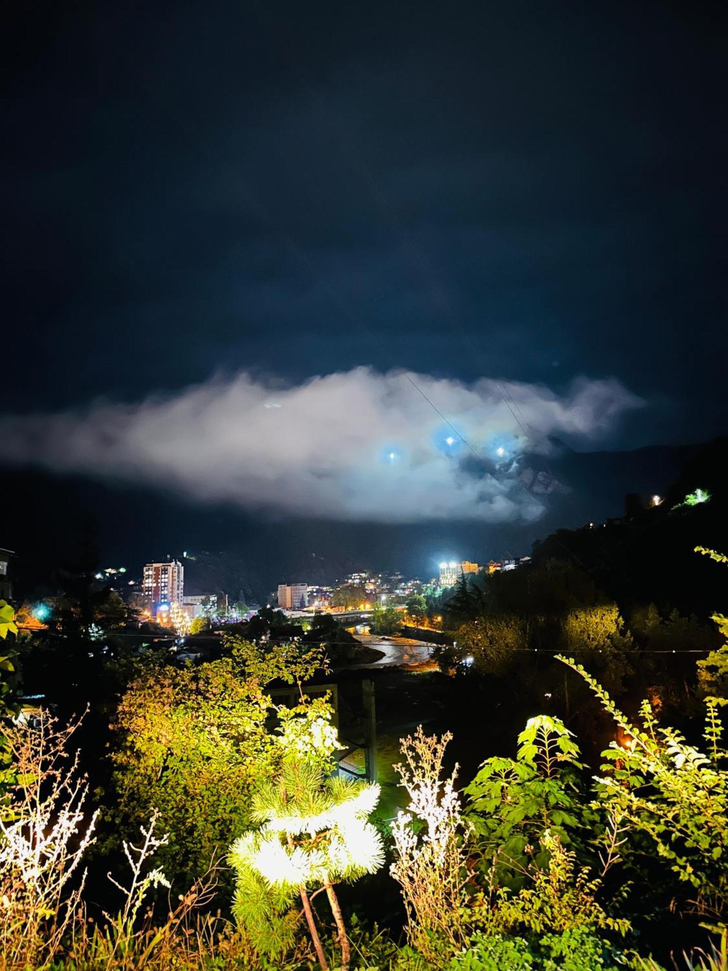 Woodland Borjomi Hotel Bagian luar foto