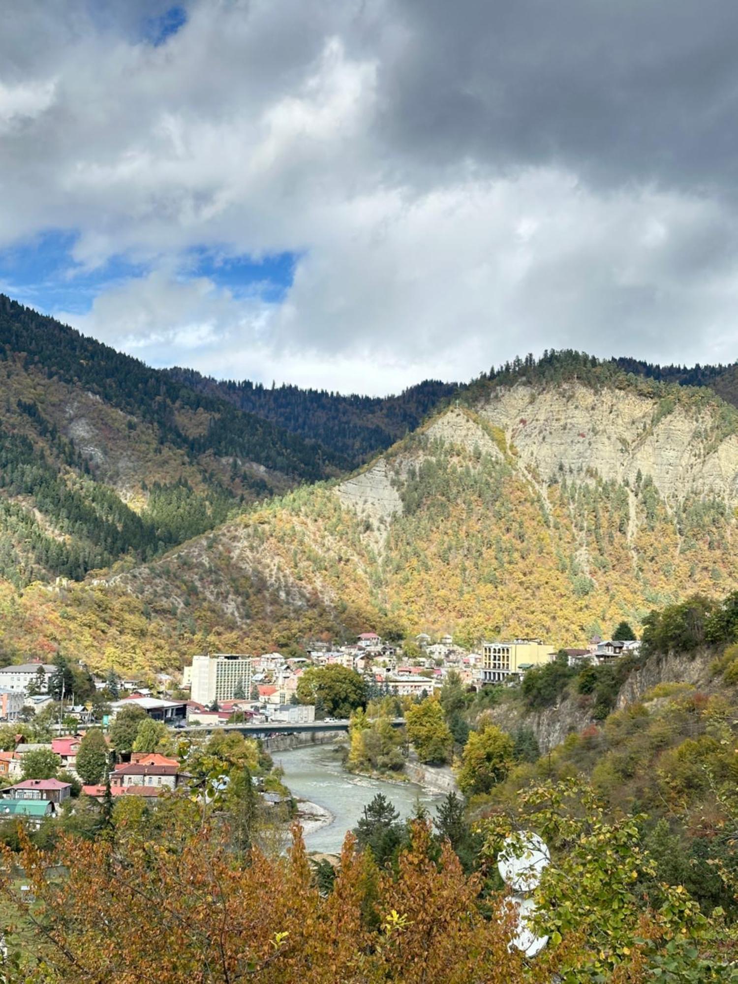 Woodland Borjomi Hotel Bagian luar foto
