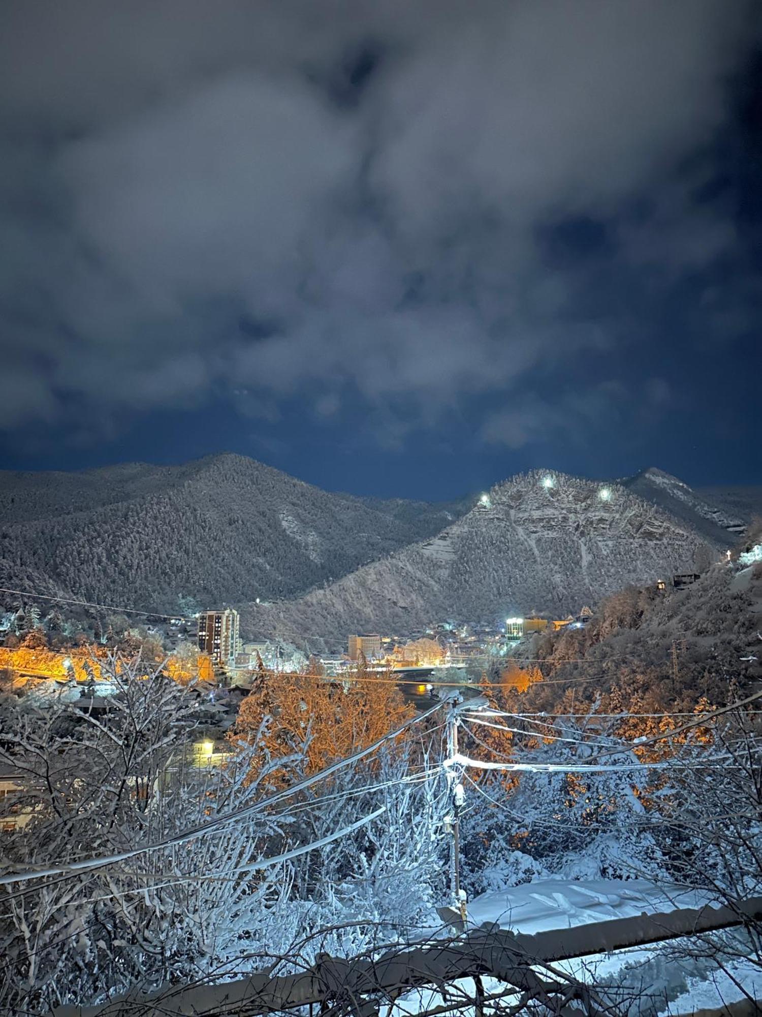 Woodland Borjomi Hotel Bagian luar foto